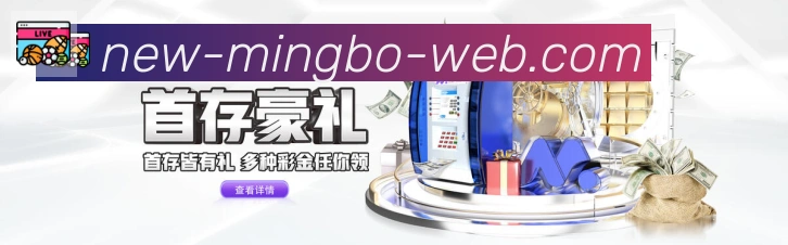未来规划